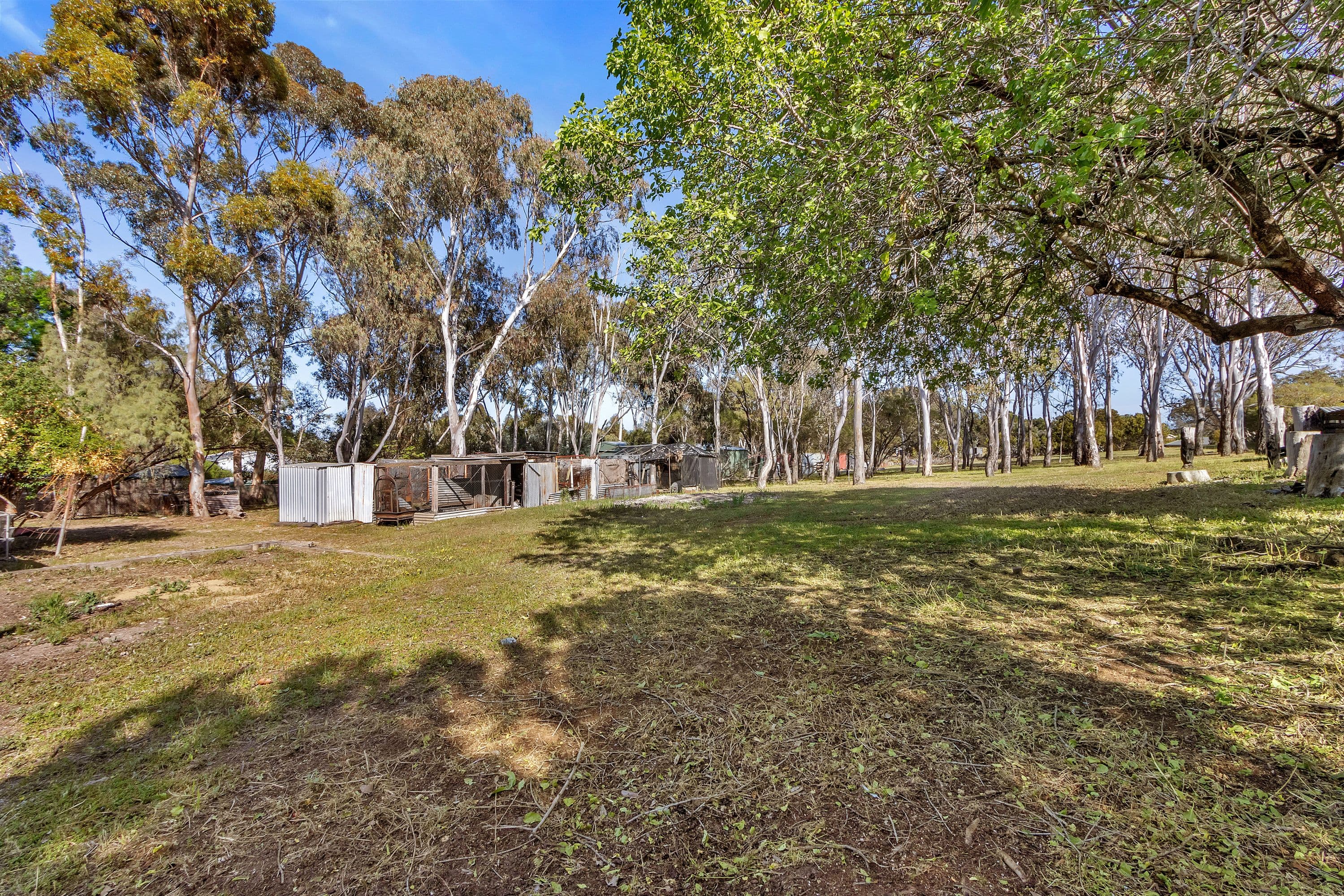 232 Altona Road, Lyndoch SA 5351, Lyndoch - Thumbnail 3