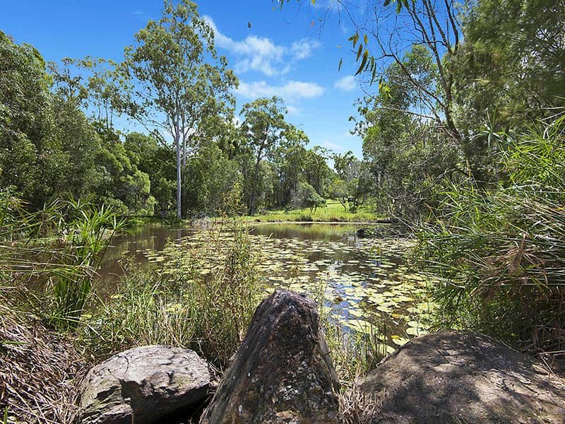 1179 Mount Gravatt-Capalaba Road, Burbank QLD 4156, Burbank - Thumbnail 3