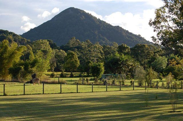 314 Dath Henderson Road, COOROY QLD 4563, Cooroy - Thumbnail 6