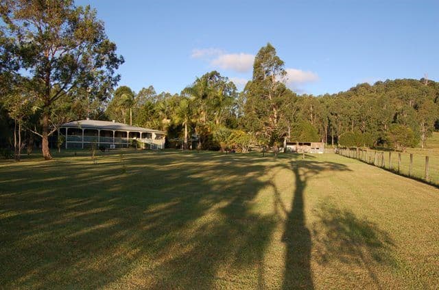 314 Dath Henderson Road, COOROY QLD 4563, Cooroy - Thumbnail 8