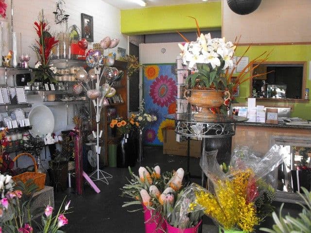 Stephanies Flowers and Gifts, CARNARVON WA 6701, South Carnarvon - Thumbnail 5
