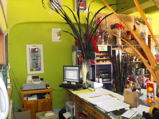 Stephanies Flowers and Gifts, CARNARVON WA 6701, South Carnarvon - Thumbnail 7
