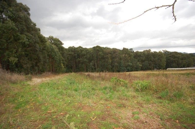 MONBULK VIC 3793, Monbulk - Thumbnail 8
