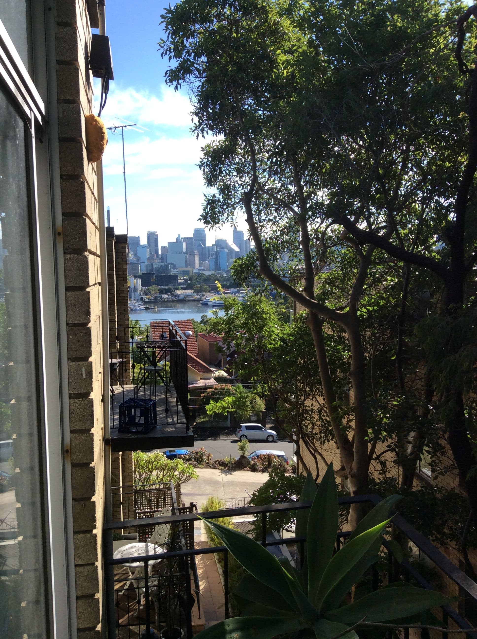 10 Avona Avenue, Glebe NSW 2037, Glebe - Thumbnail 6