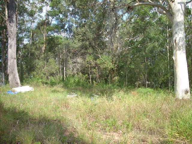 3 Eucalypt Street, Russell Island QLD 4184, Russell Island - Thumbnail 3