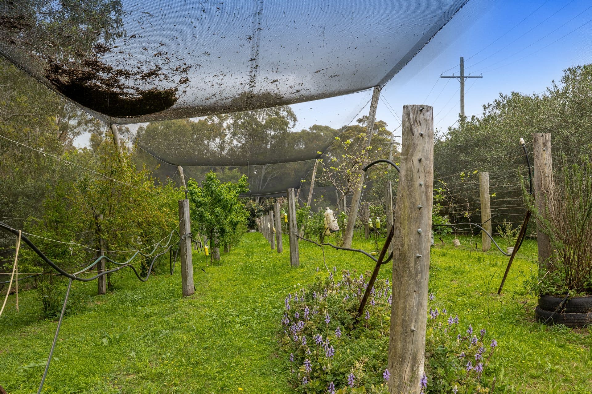 427 Boundary Street, Torrington QLD 4350, Torrington - Thumbnail 2