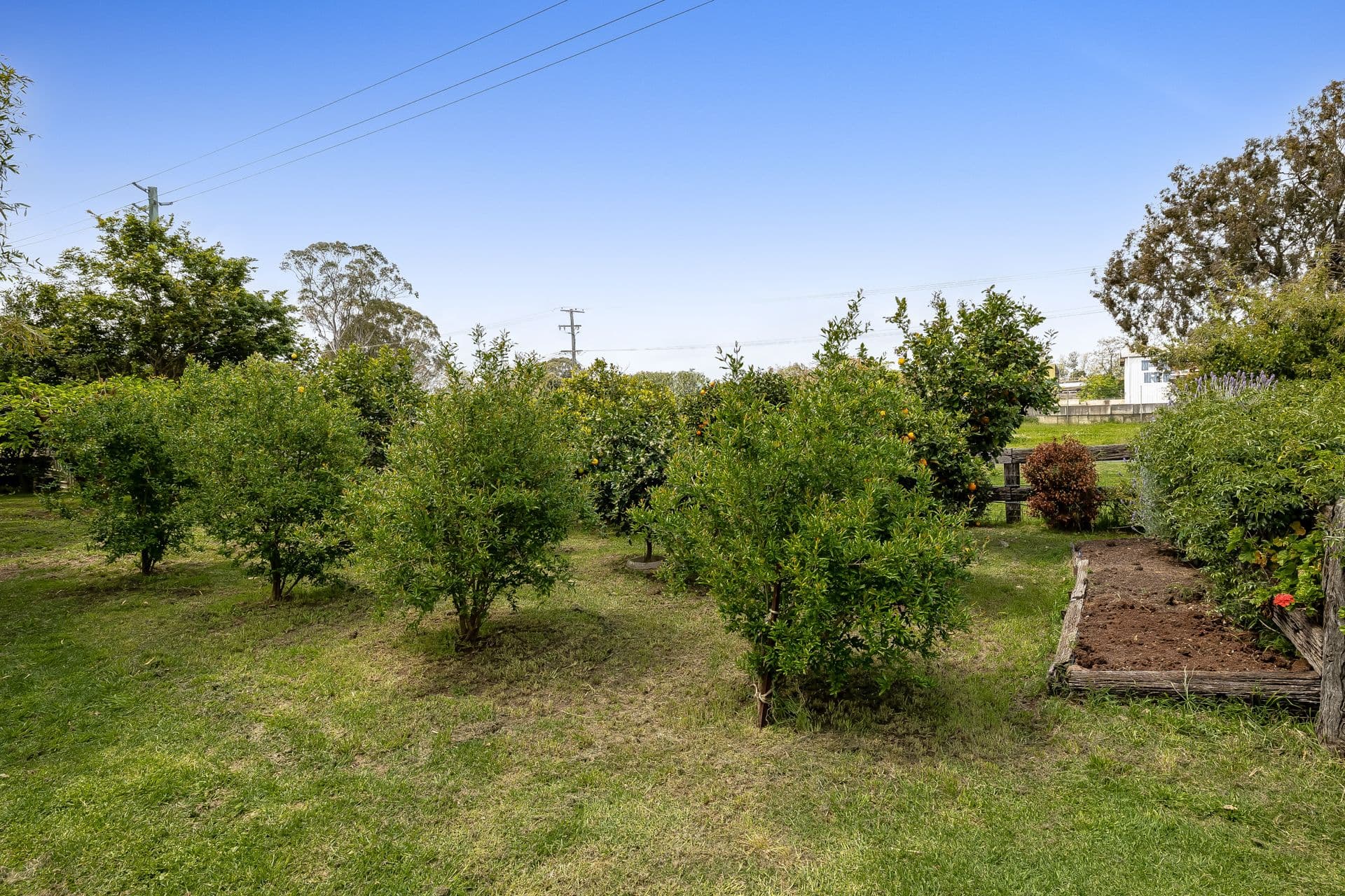 427 Boundary Street, Torrington QLD 4350, Torrington - Thumbnail 5