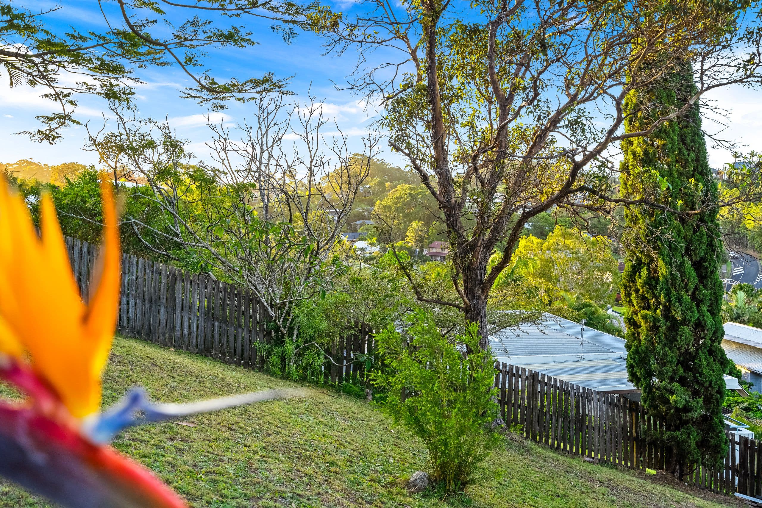 5 Barina Court, Tugun QLD 4224, Tugun - Thumbnail 5