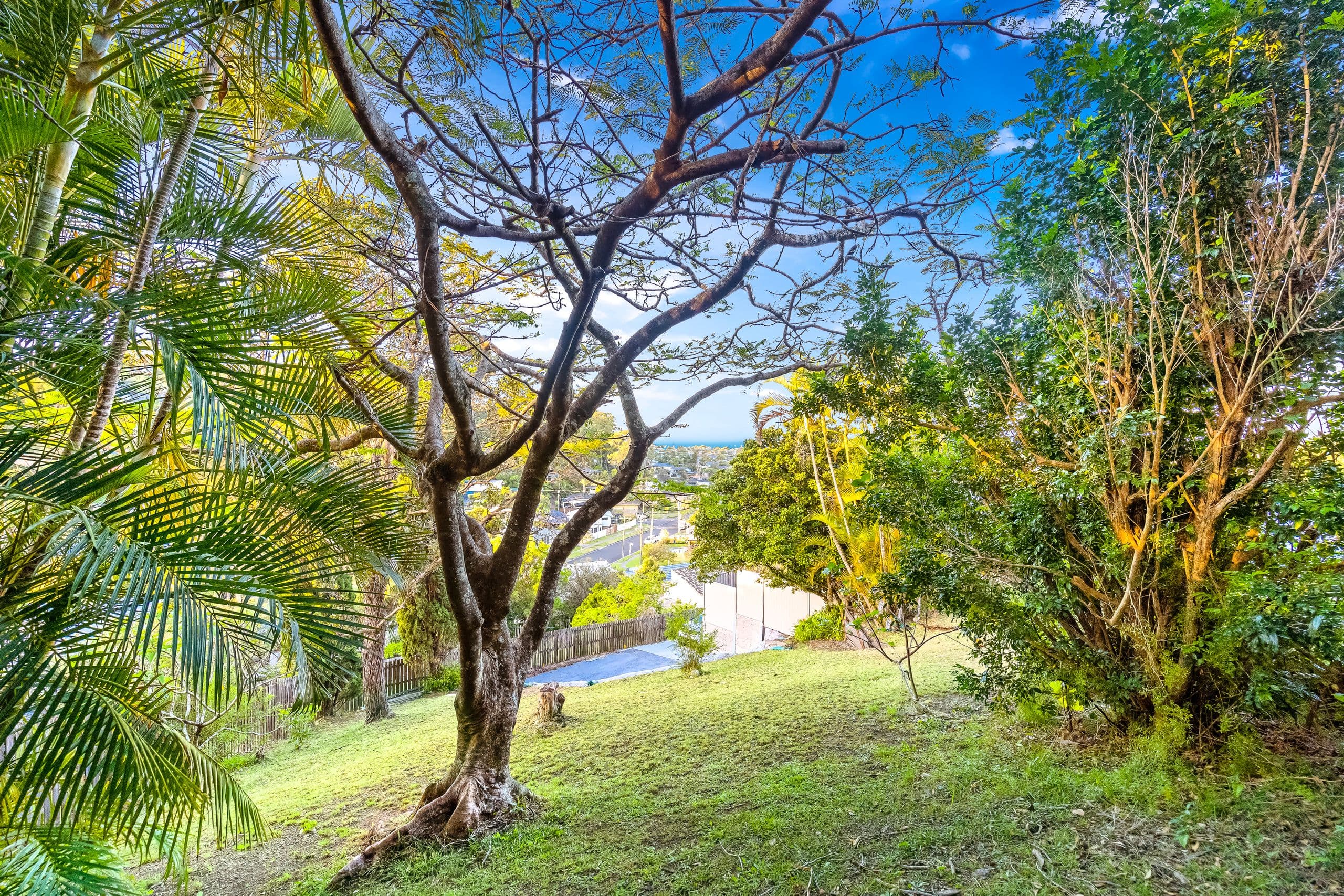 5 Barina Court, Tugun QLD 4224, Tugun - Thumbnail 7