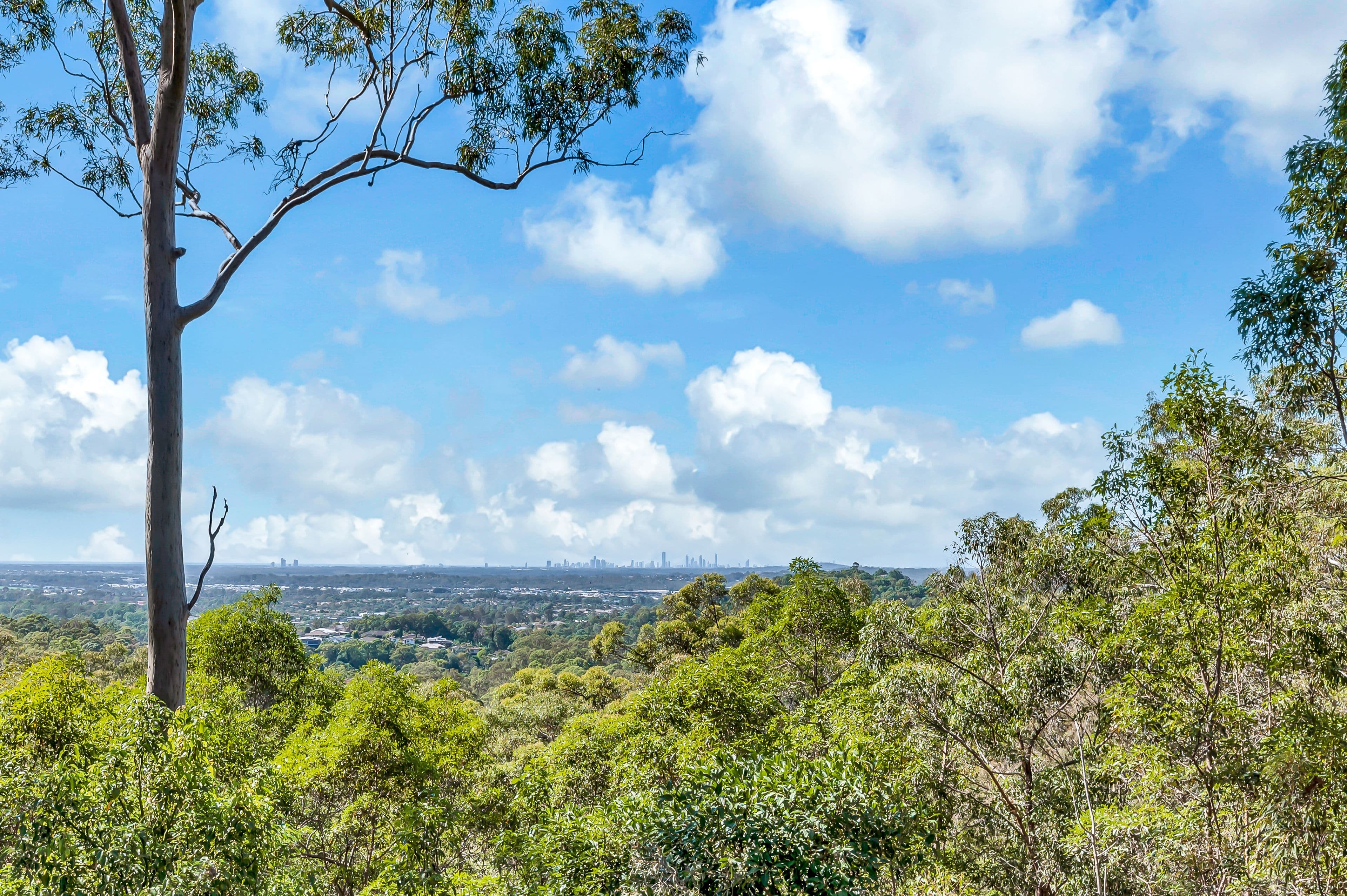 90 Baileys Mountain Road, Willow Vale QLD 4209, Willow Vale - Thumbnail 8