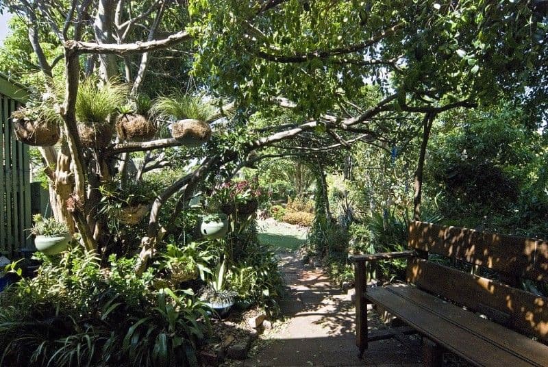 46 Holberton Street, ROCKVILLE QLD 4350, Rockville - Thumbnail 3