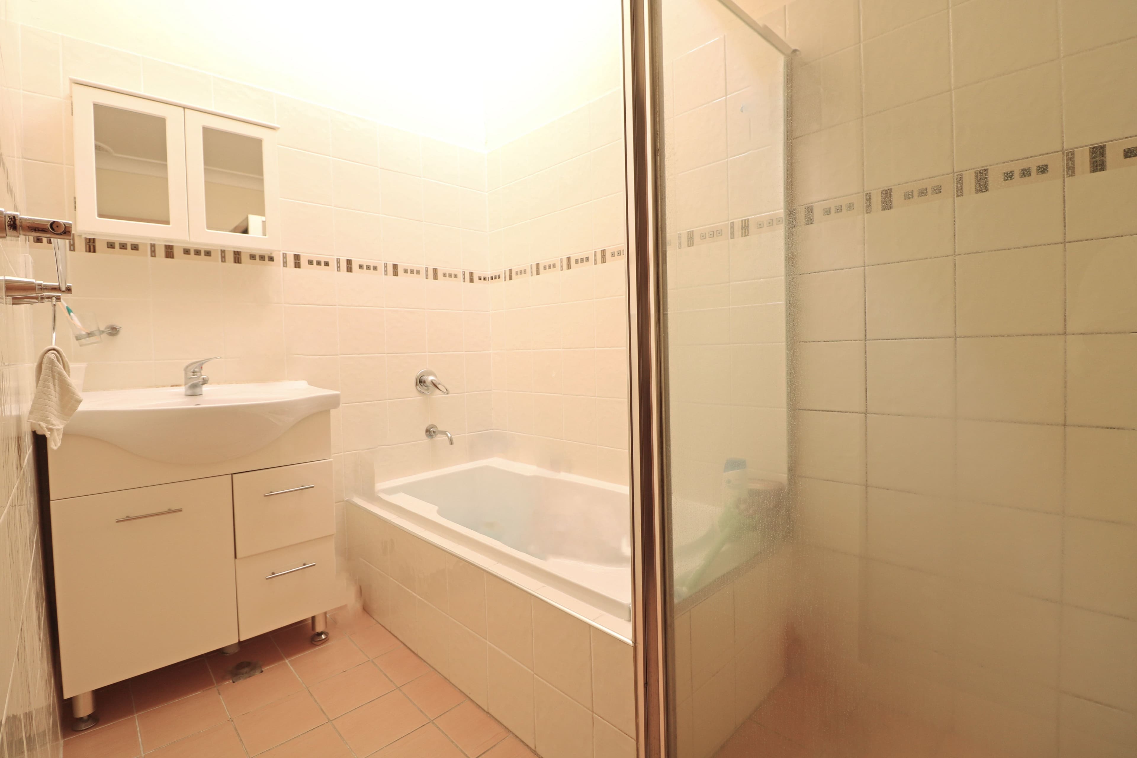 103 Longfield Street, Cabramatta NSW 2166, Cabramatta - Thumbnail 5