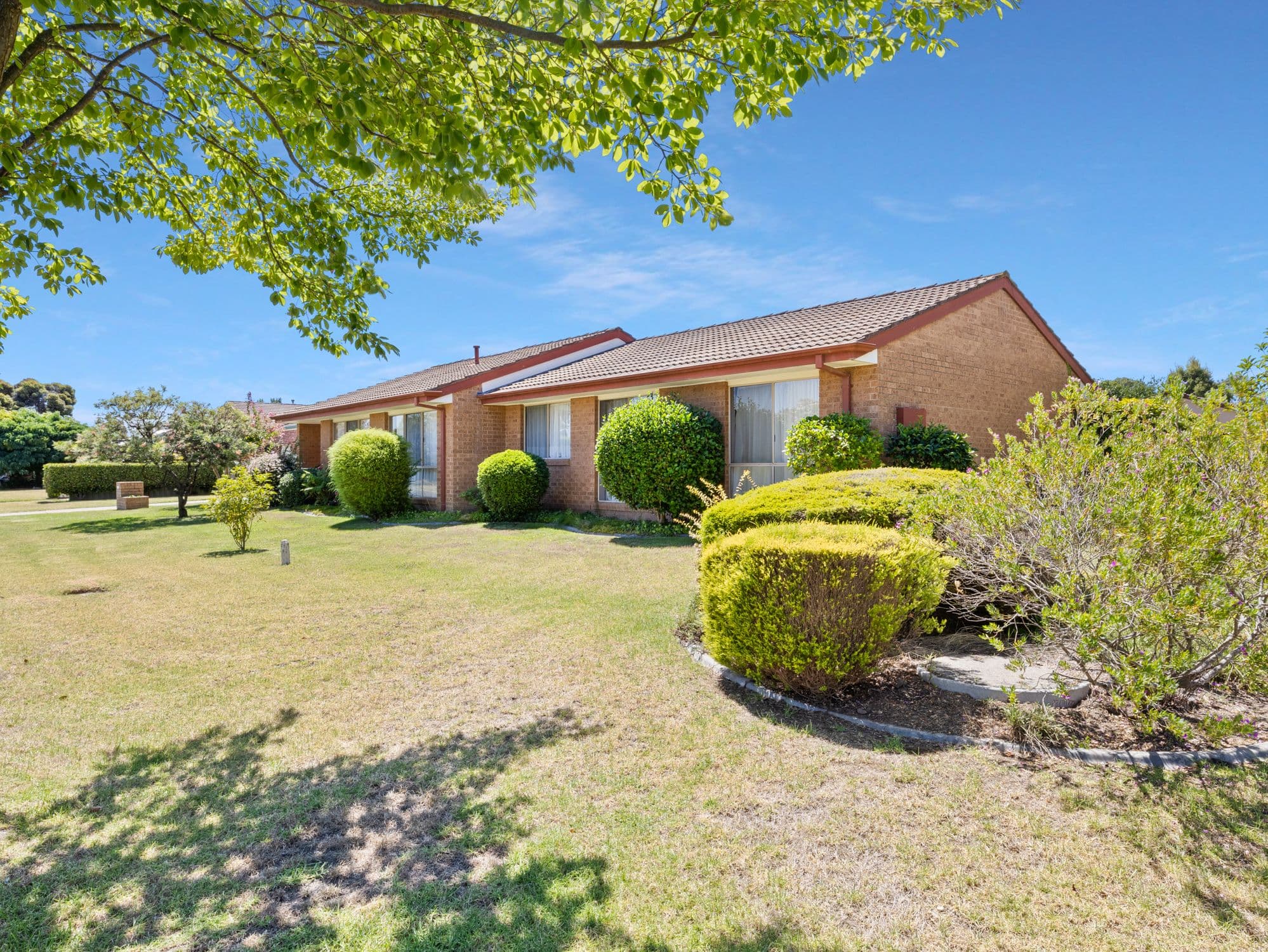 8 Saville Avenue, Lavington NSW 2641, Lavington - Image 1