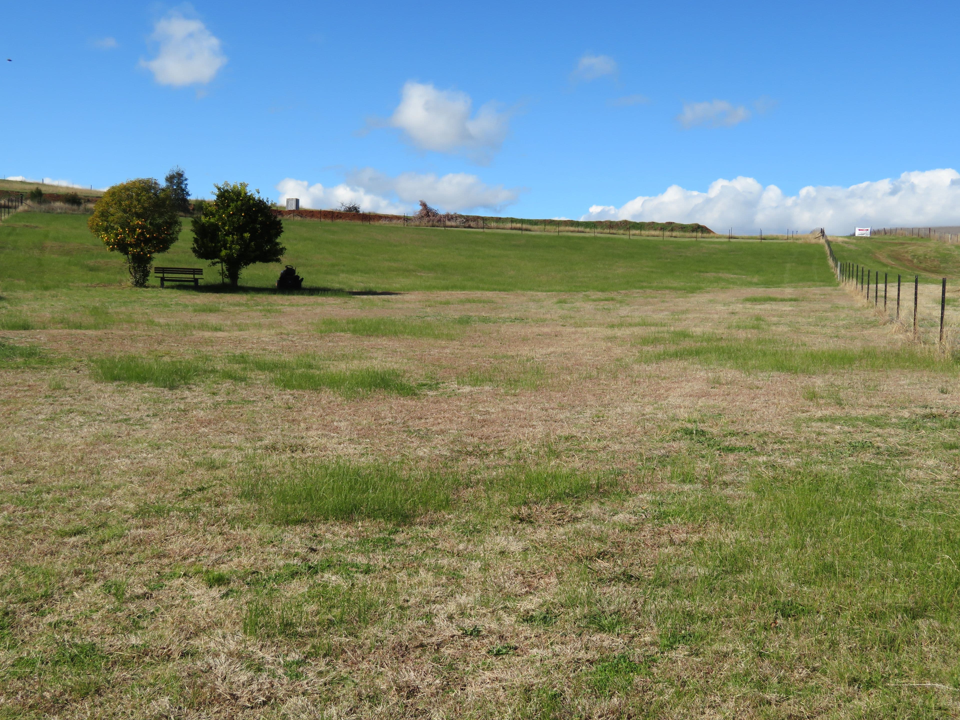 336 Neil McInerney Street, Gundagai NSW 2722, Gundagai - Thumbnail 6