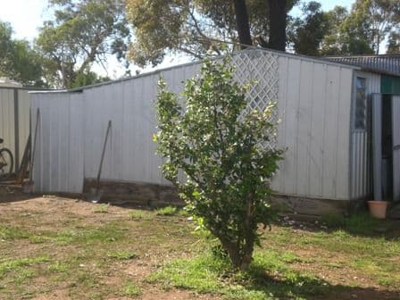 53 Kennedy Street, HOWLONG NSW 2643, Howlong - Thumbnail 8