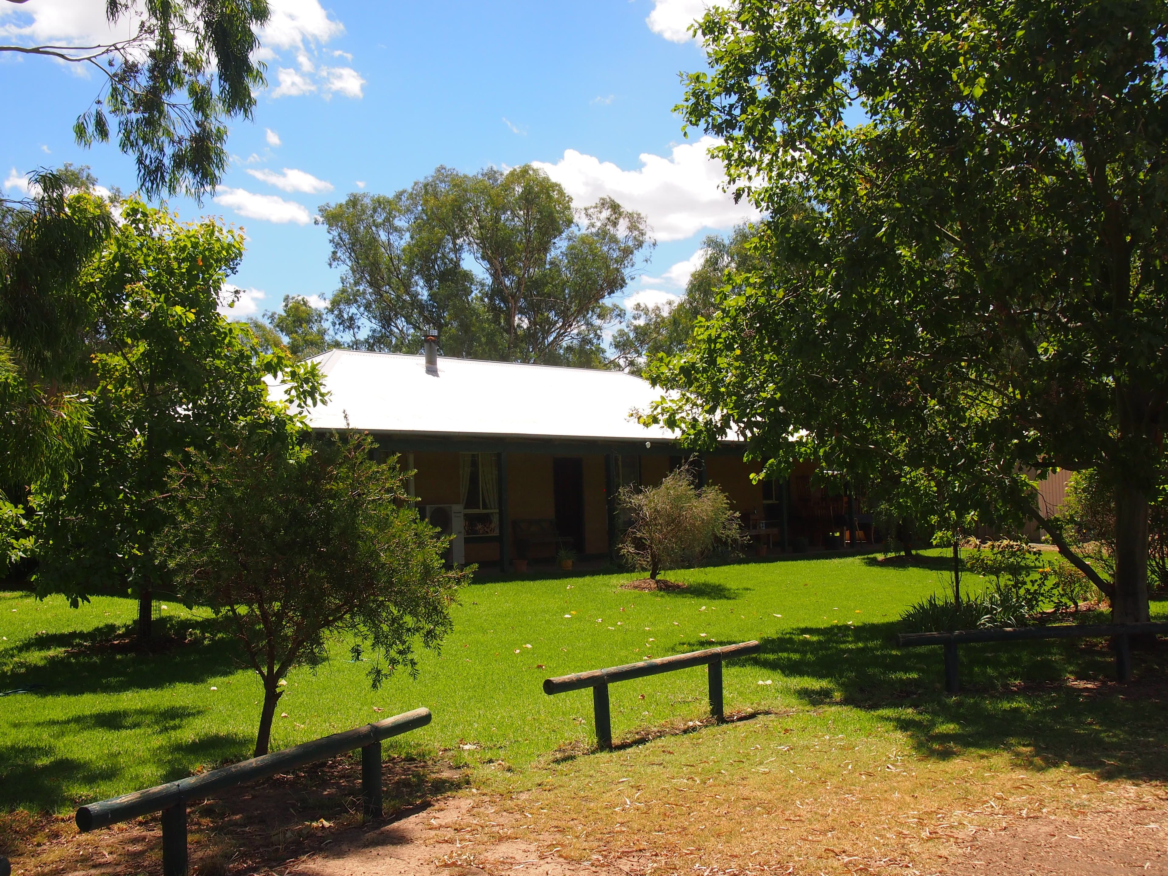 Lot 88 North Forbes Road, Condobolin NSW 2877, Condobolin - Image 1