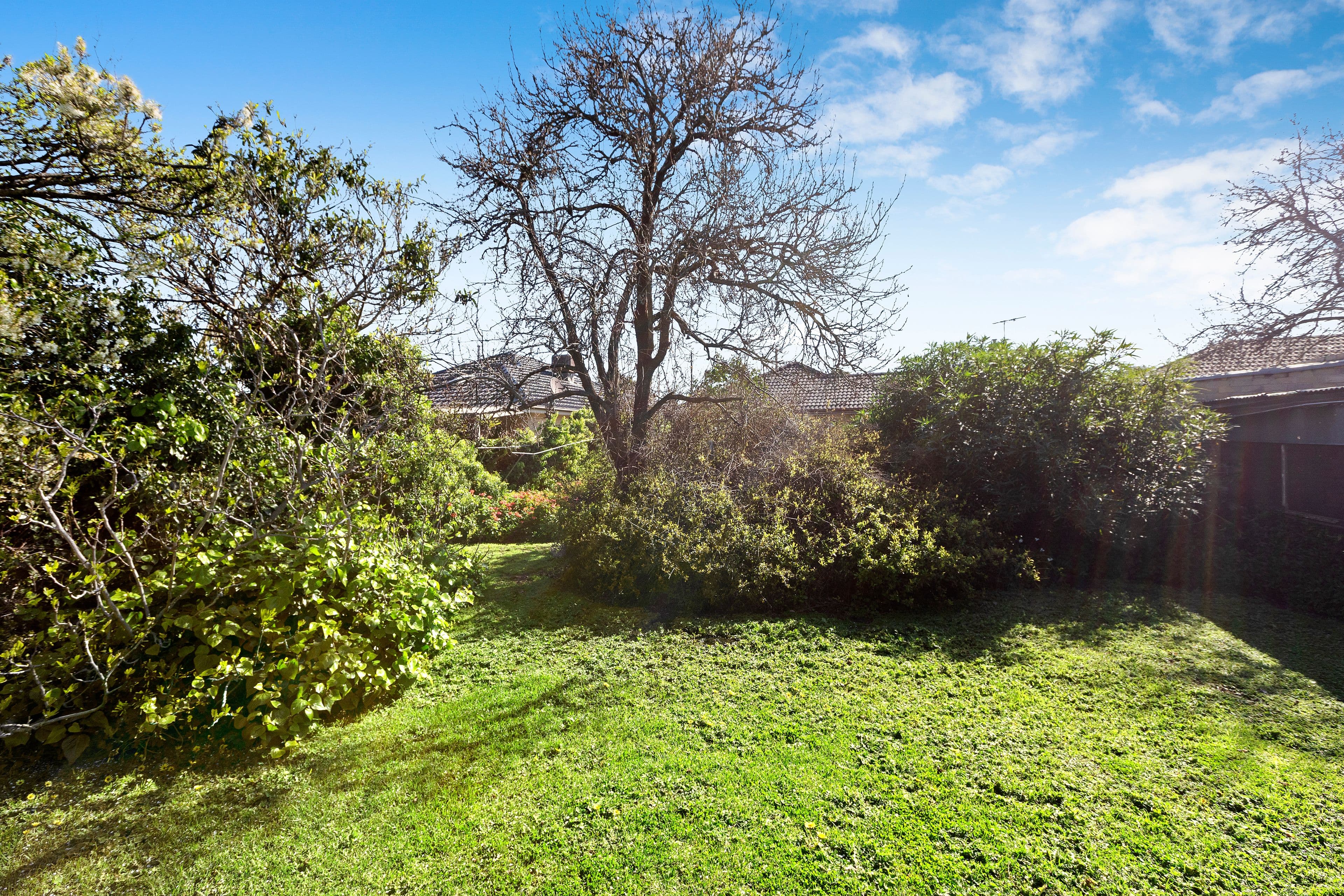 132 Wilson Street, Cheltenham VIC 3192, Cheltenham - Thumbnail 8