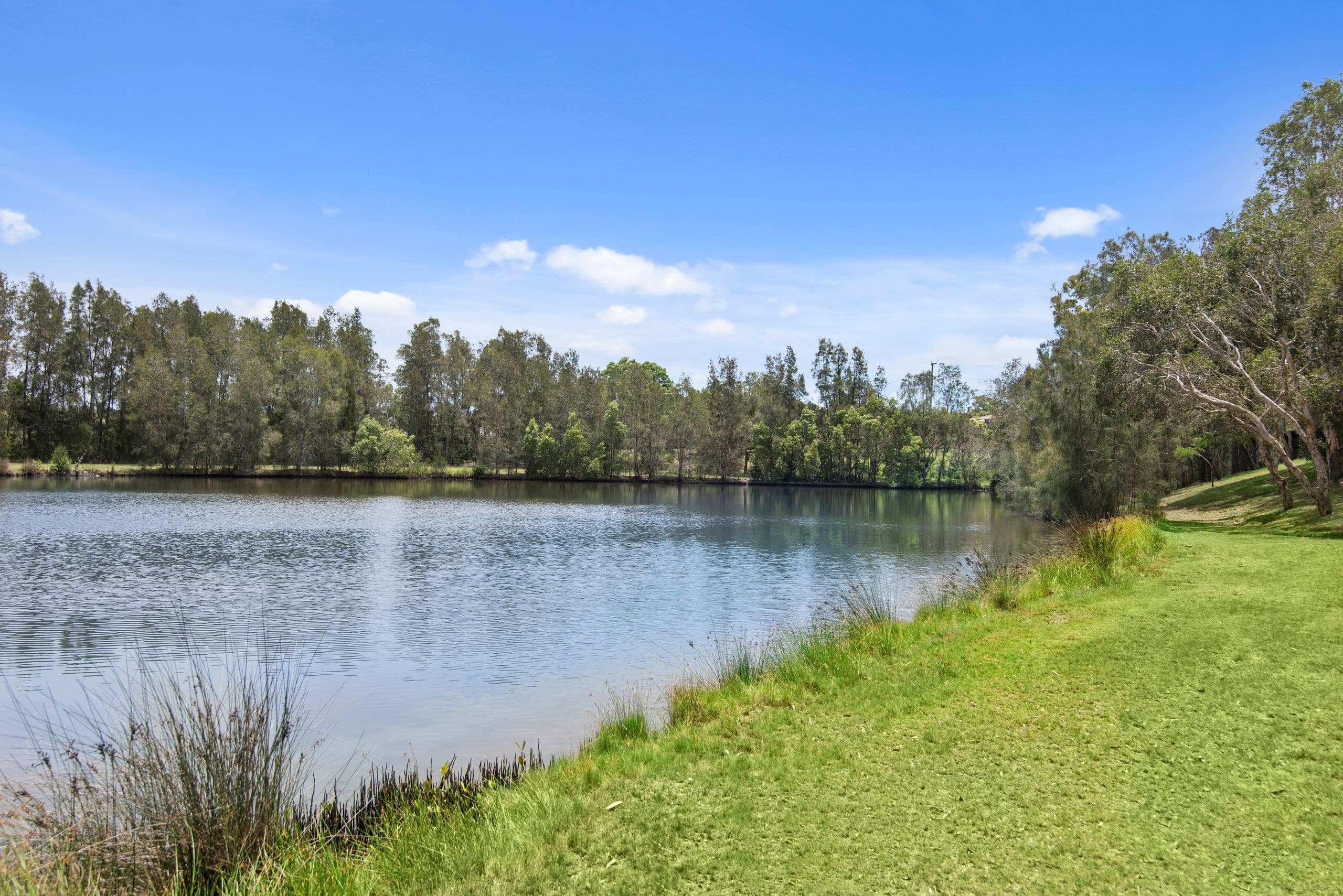 16 Baumea Court, Elanora QLD 4221, Elanora - Thumbnail 2