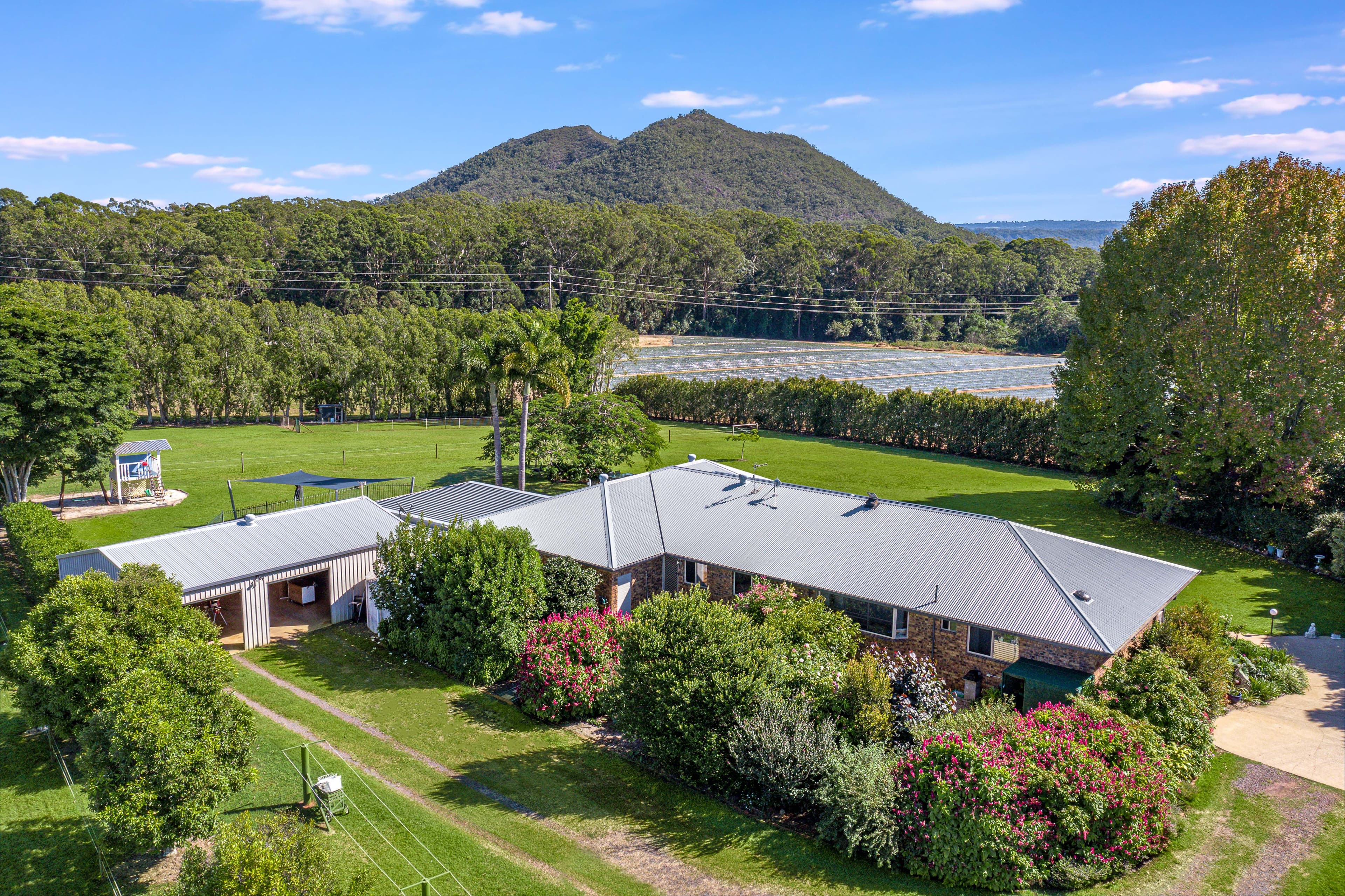 35 Morrison Road, Glass House Mountains QLD 4518, Glass House Mountains - Thumbnail 2