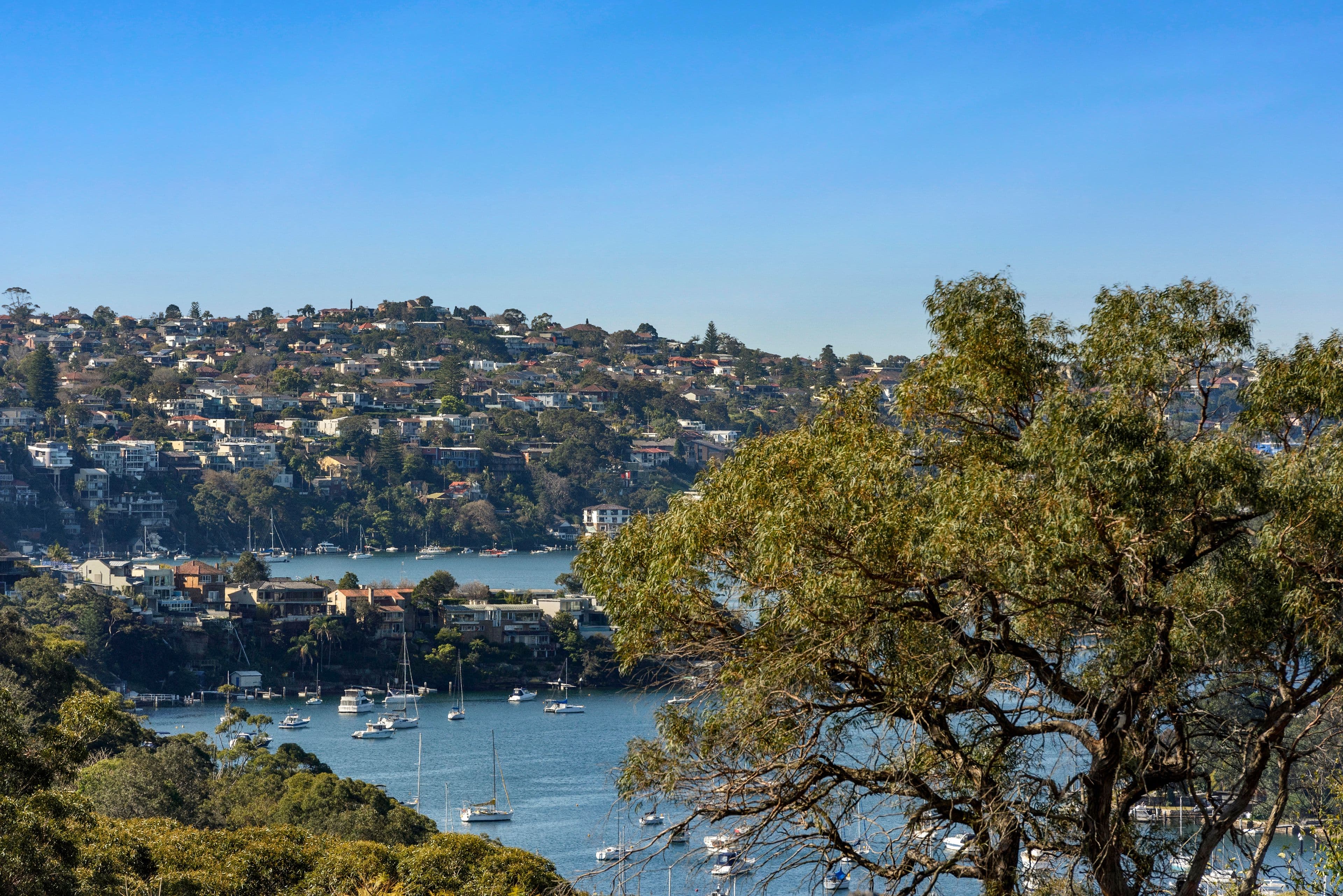 29 Grasmere Road, Cremorne NSW 2090, Cremorne - Thumbnail 2
