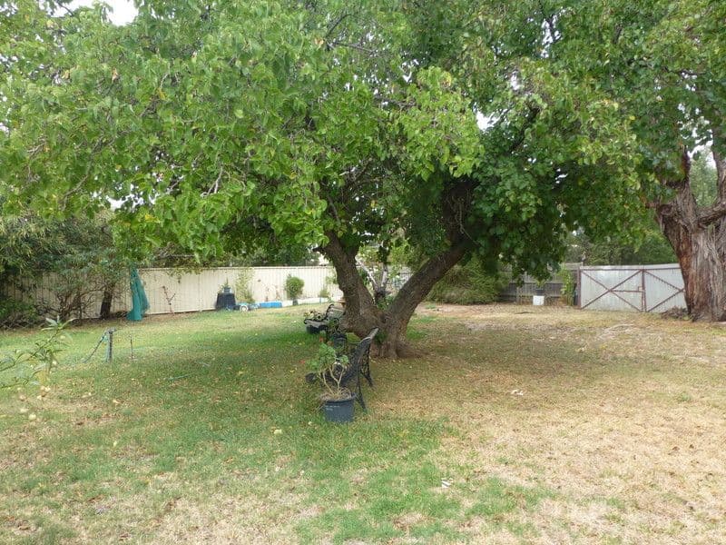 25 Maiden Street, Moama NSW 2731, Moama - Thumbnail 4