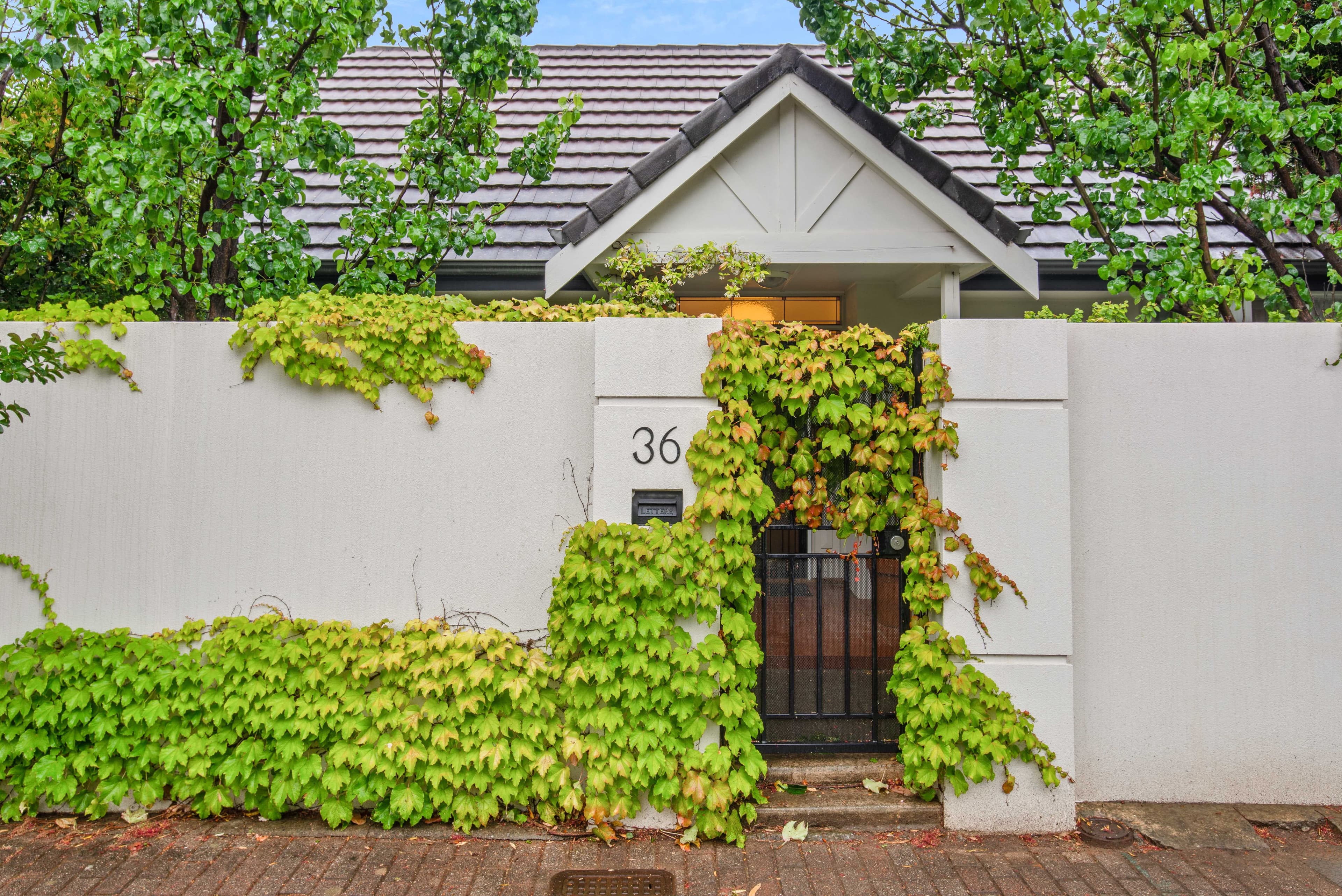 36 Donegal Street, Norwood SA 5067, Norwood - Thumbnail 2