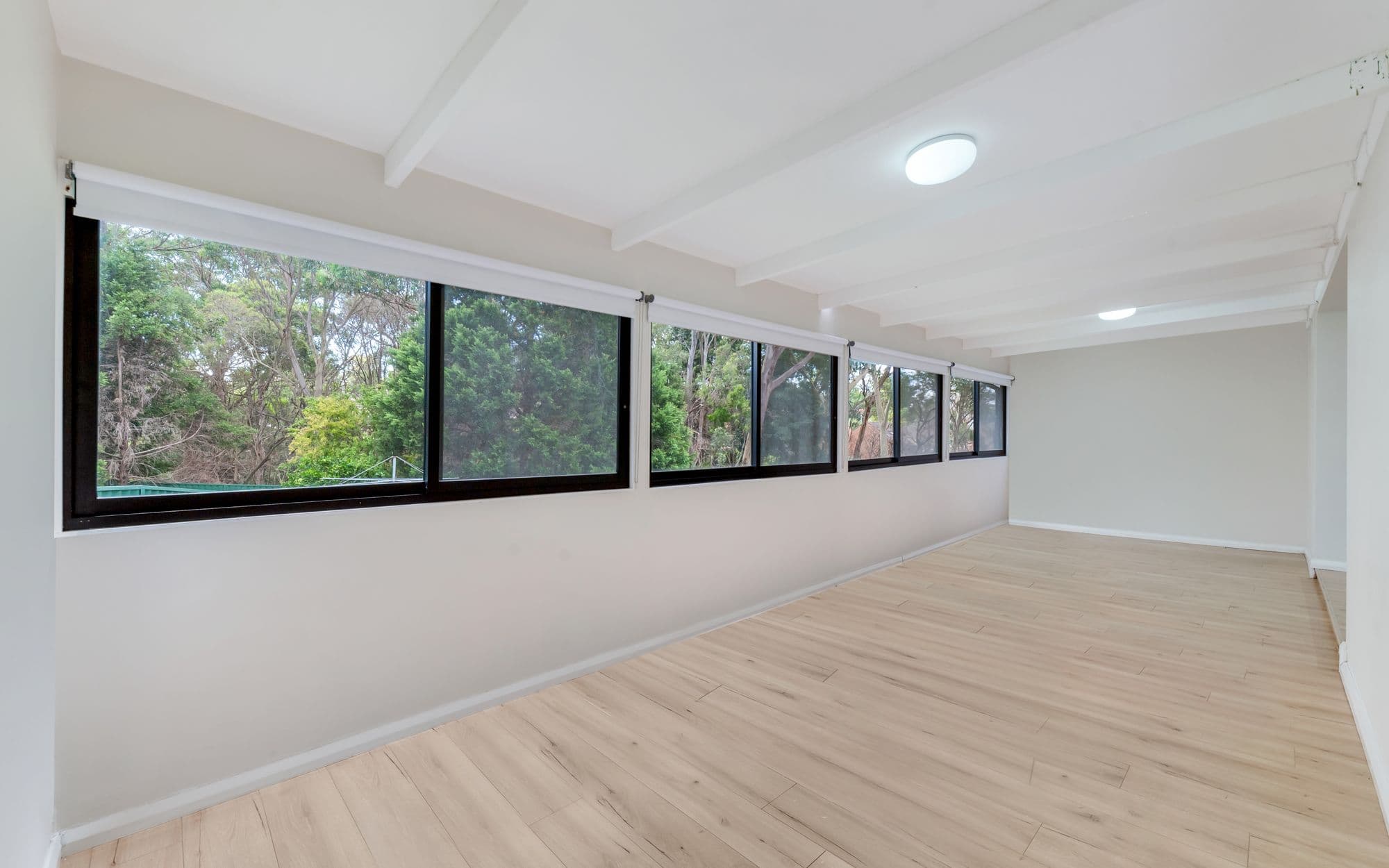123 Helicia Road, Macquarie Fields NSW 2564, Macquarie Fields - Thumbnail 6