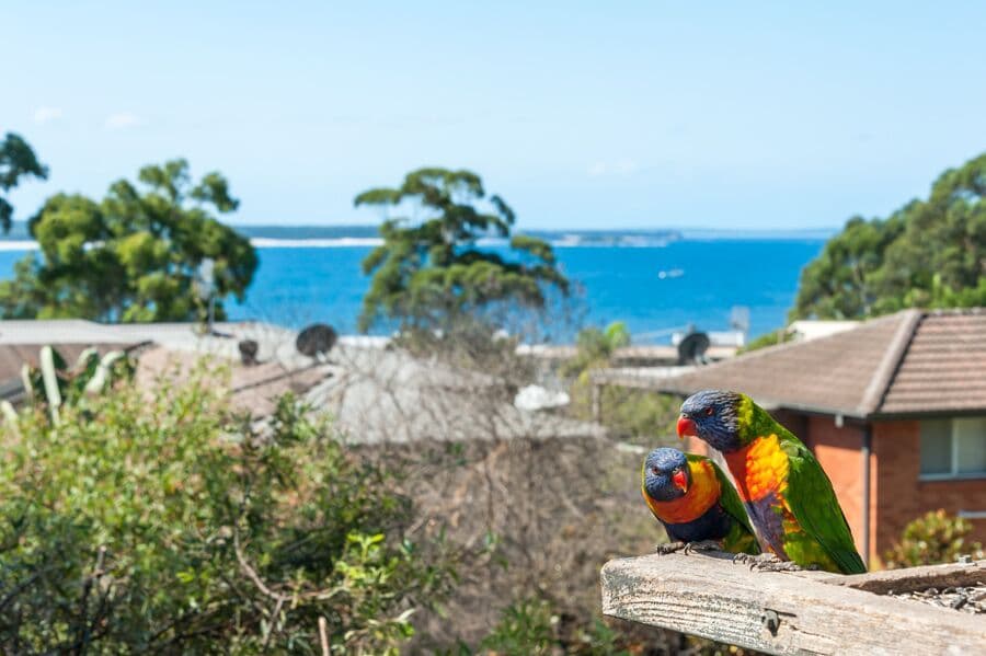 6 Bannister Head Road, Mollymook Beach NSW 2539, Mollymook Beach - Image 1