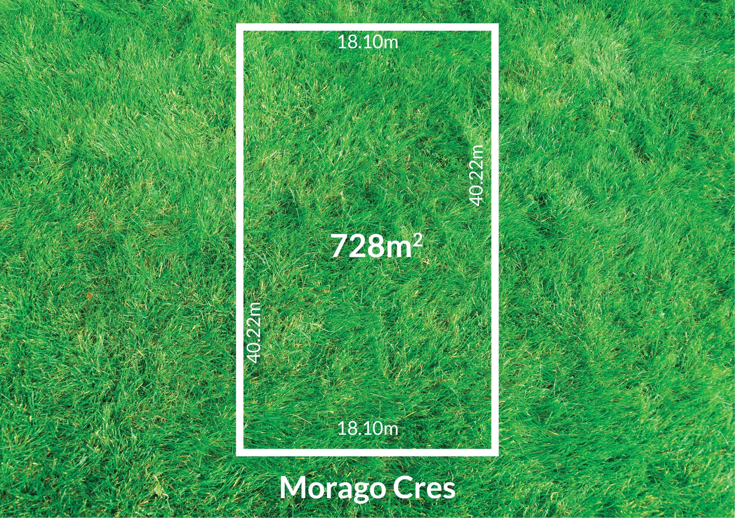 12 Morago Crescent, Cloverdale WA 6105, Cloverdale - Thumbnail 4