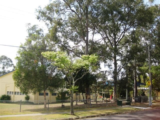 91 Roscoe Street, Holland Park QLD 4121, Holland Park - Thumbnail 3