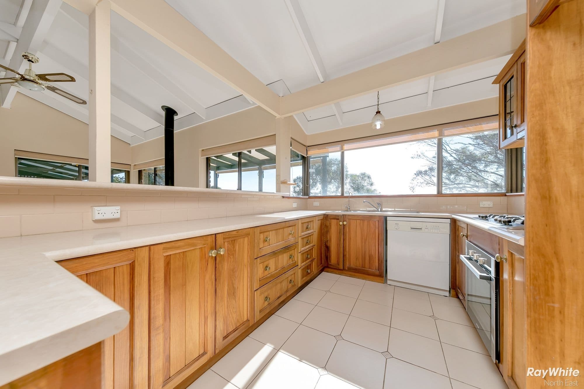 20 Ystwyth Court, Modbury Heights SA 5092, Modbury Heights - Thumbnail 5