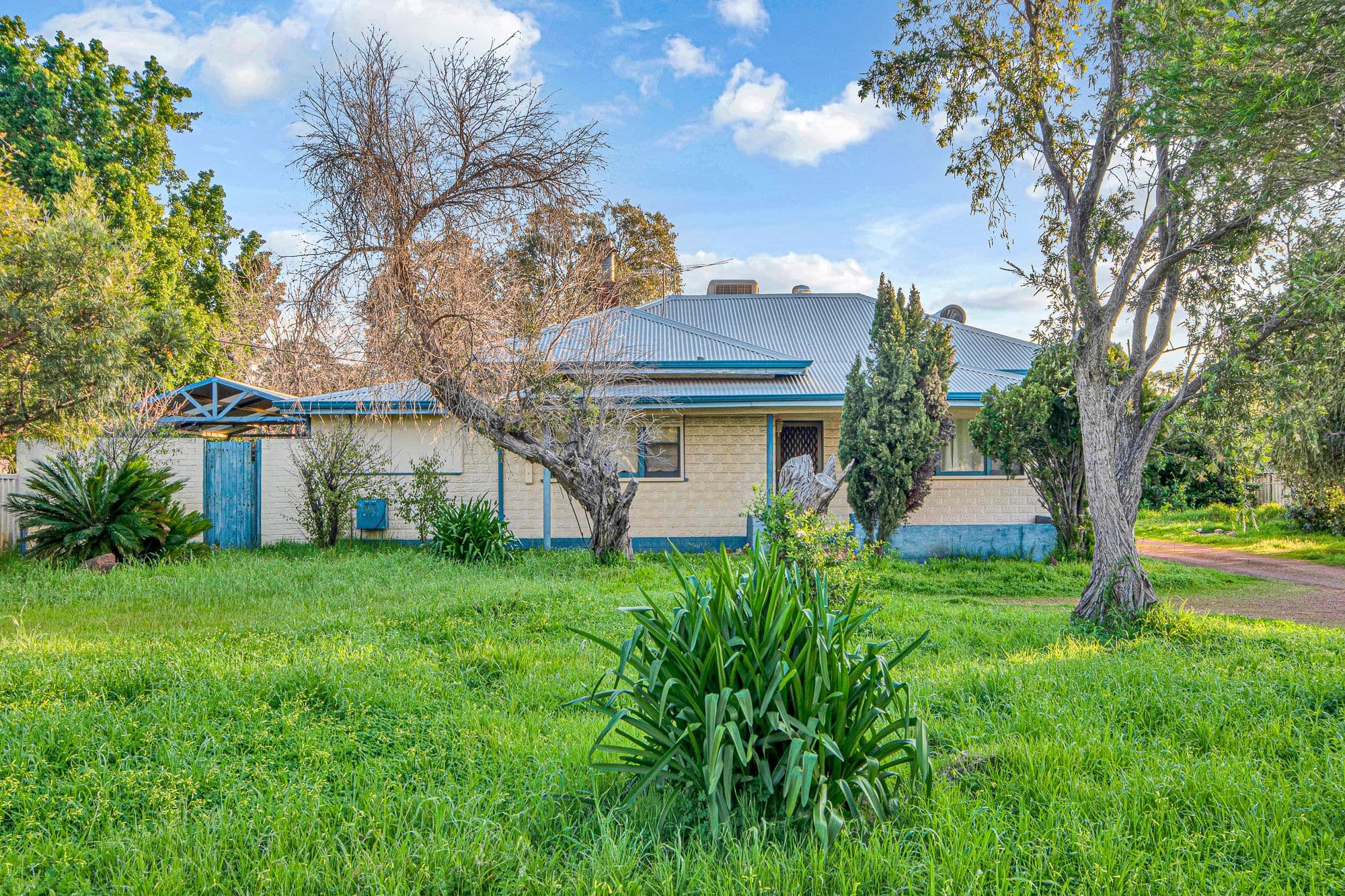 11 Westfield Street, Maddington WA 6109, Maddington - Thumbnail 4