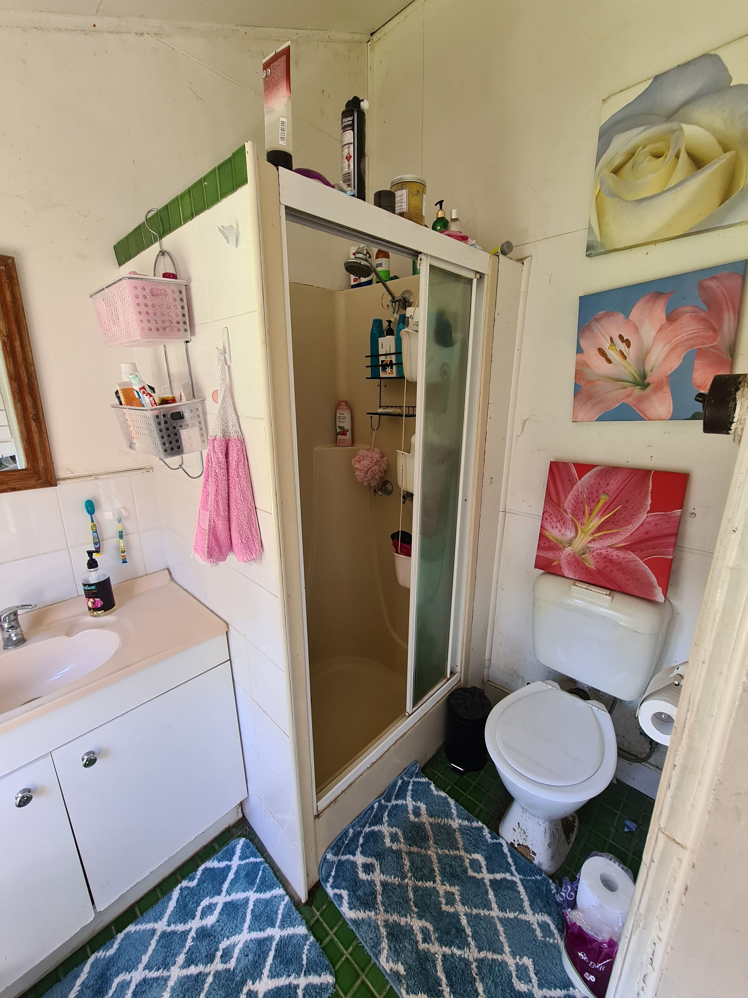 6 Hawthorne Street, Maryborough QLD 4650, Maryborough - Thumbnail 6