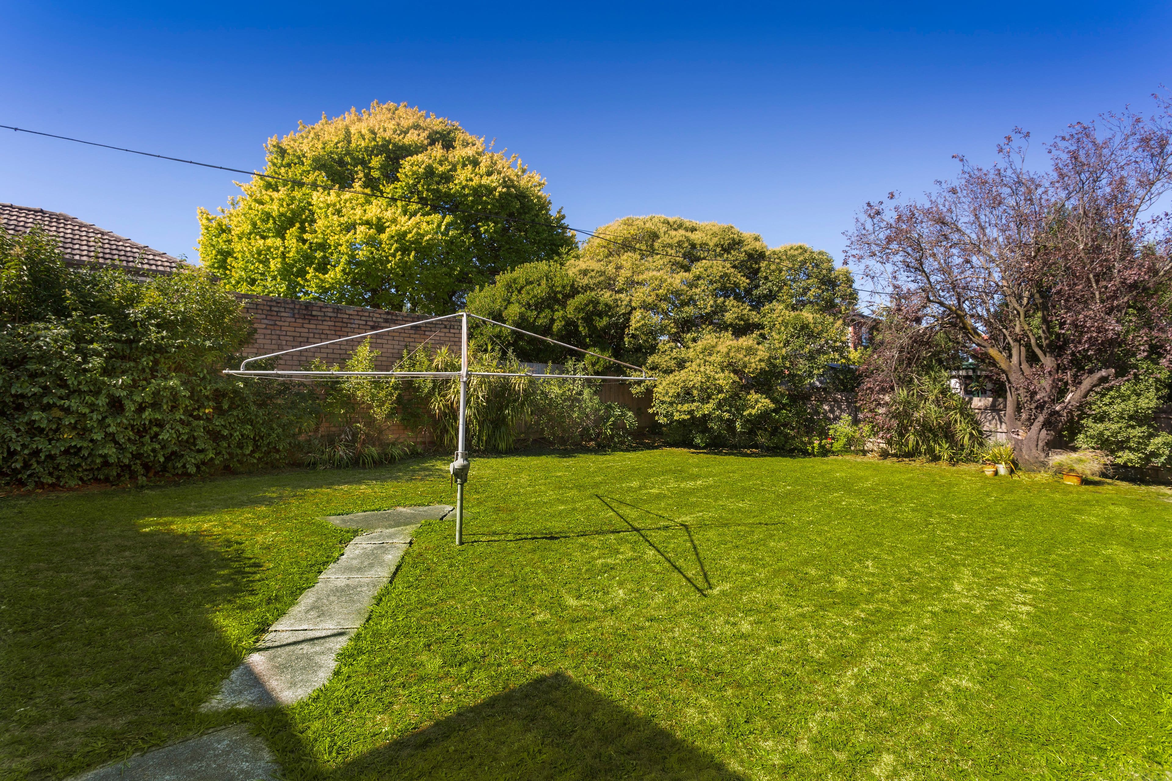 25 Maude Street, Box Hill North VIC 3129, Box Hill North - Thumbnail 7