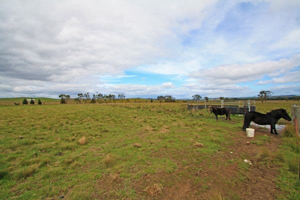 23 Roseview Road, BUNGENDORE NSW 2621, Bungendore - Thumbnail 2