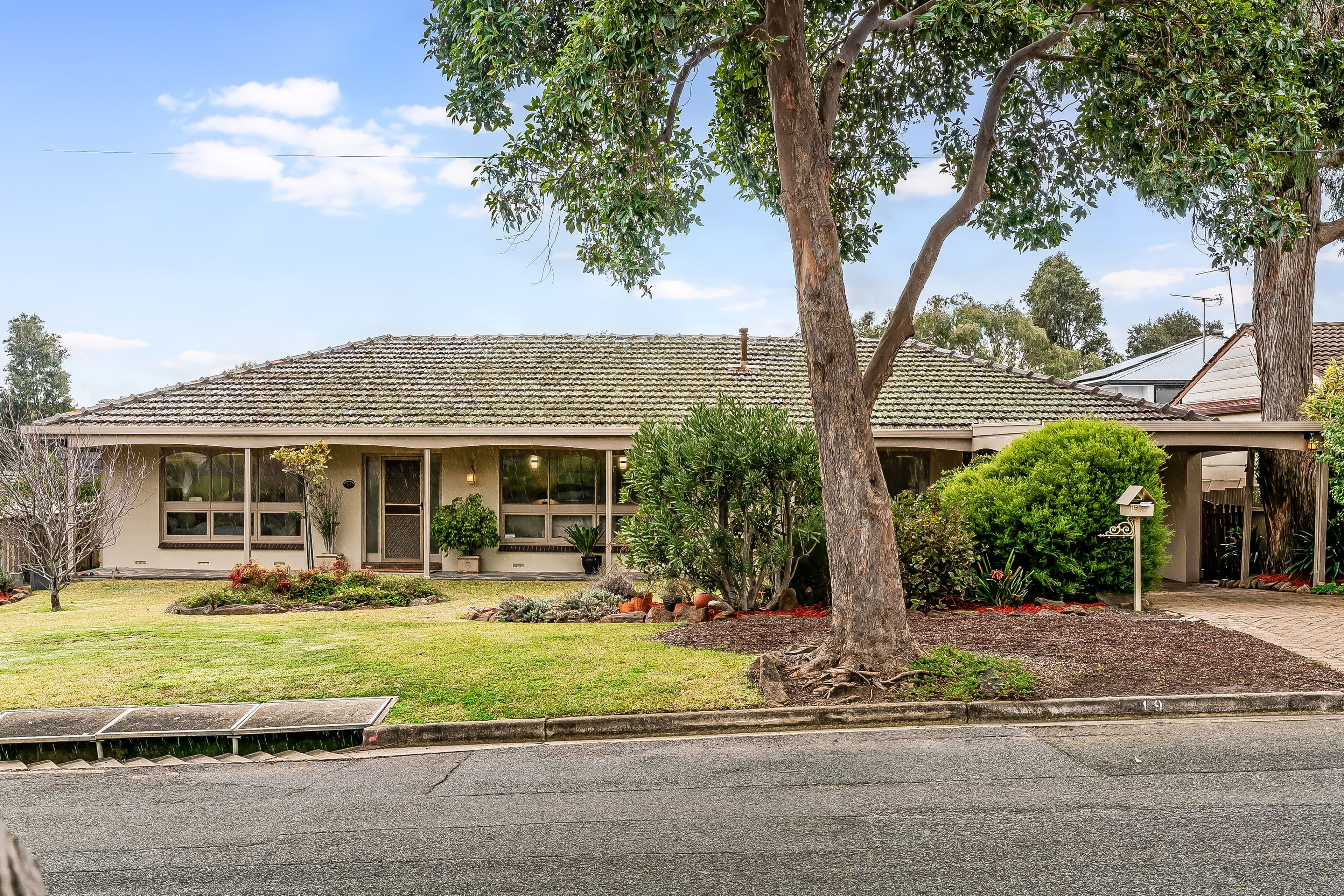 19 Callana Avenue, Rostrevor SA 5073, Rostrevor - Image 1
