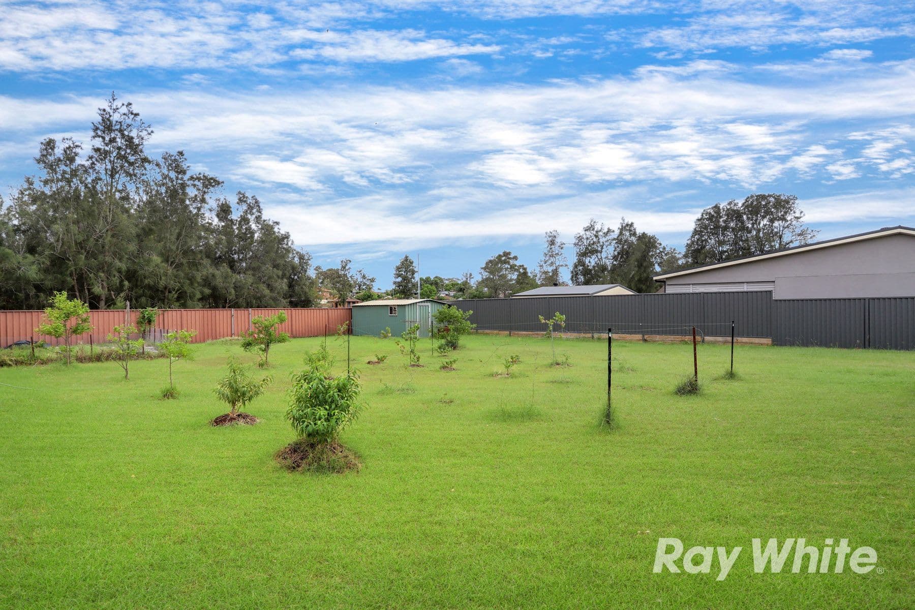 19 Solander Drive, St Clair NSW 2759, St Clair - Thumbnail 7