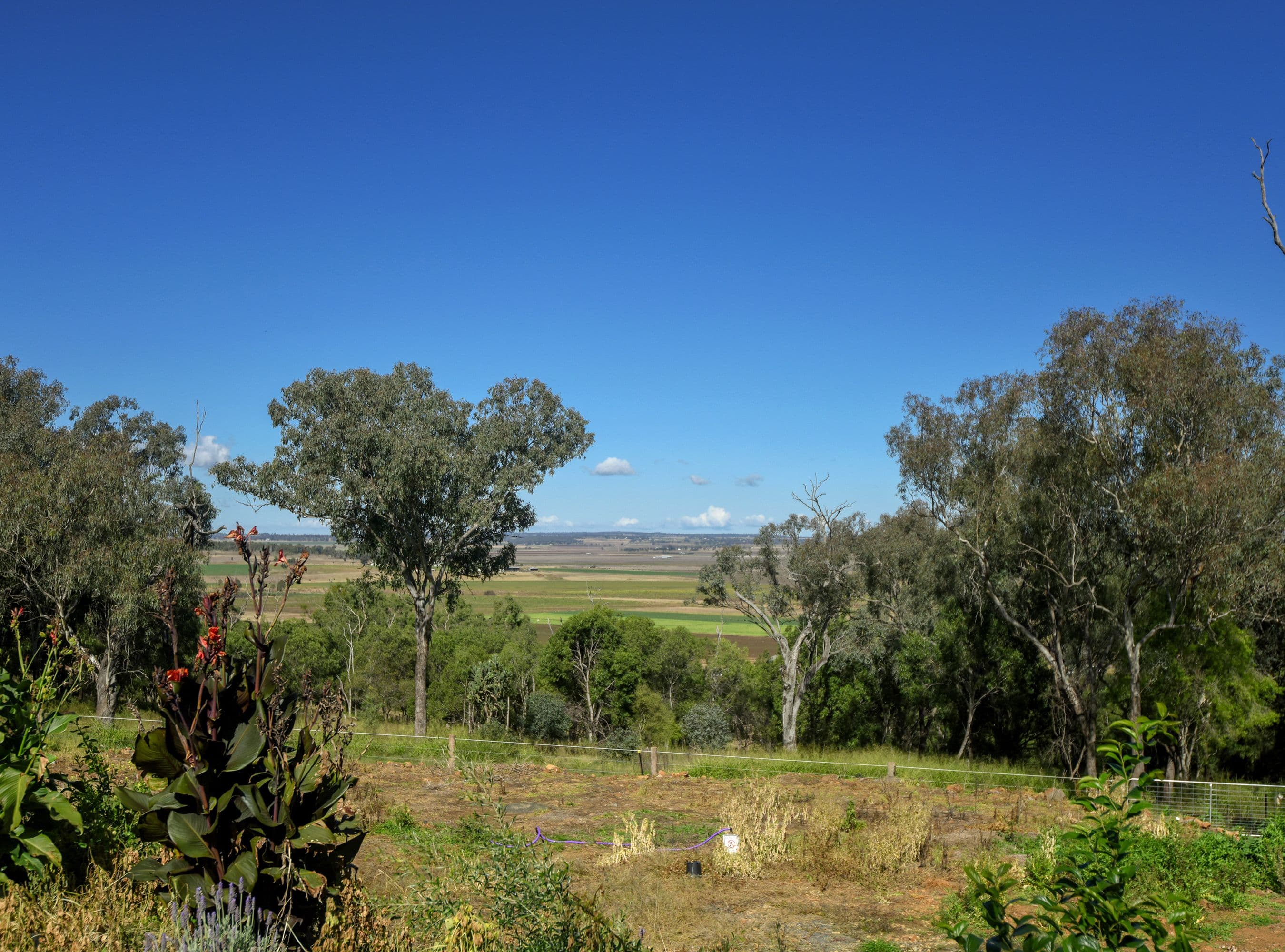 16 Wilga Avenue, Oakey QLD 4401, Oakey - Thumbnail 3