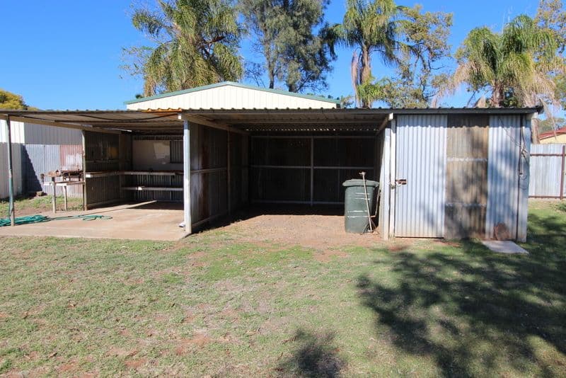 42 Parry Street, CHARLEVILLE QLD 4470, Charleville - Thumbnail 2