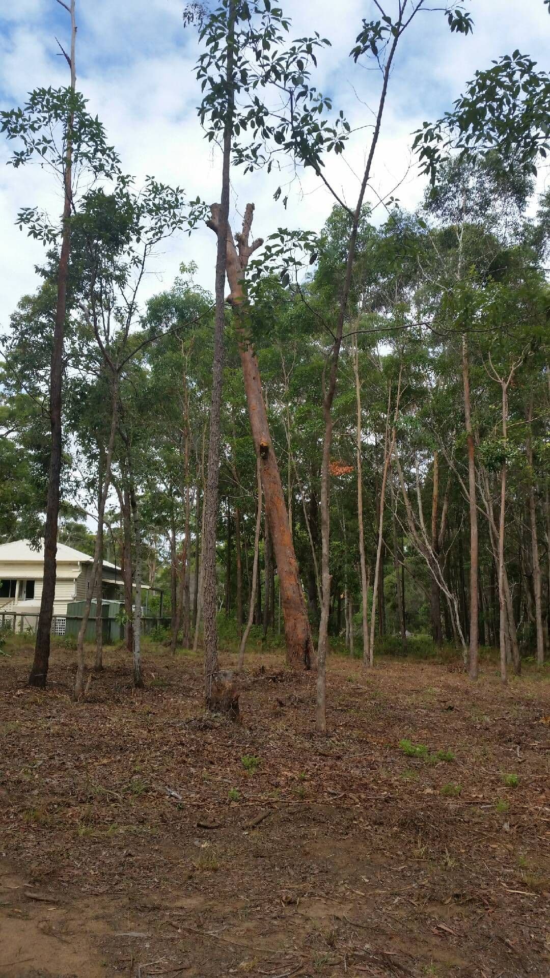 8 Billambang Street, Russell Island QLD 4184, Russell Island - Thumbnail 2