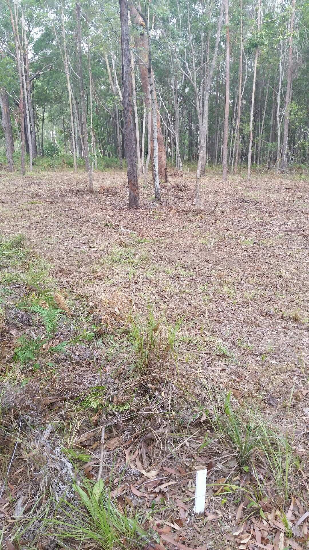 8 Billambang Street, Russell Island QLD 4184, Russell Island - Thumbnail 3