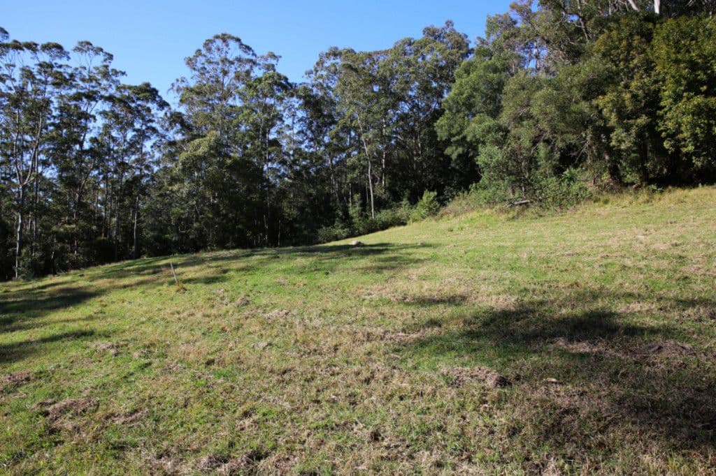 265A Bundewallah Road, Bundewallah NSW 2535, Bundewallah - Image 1