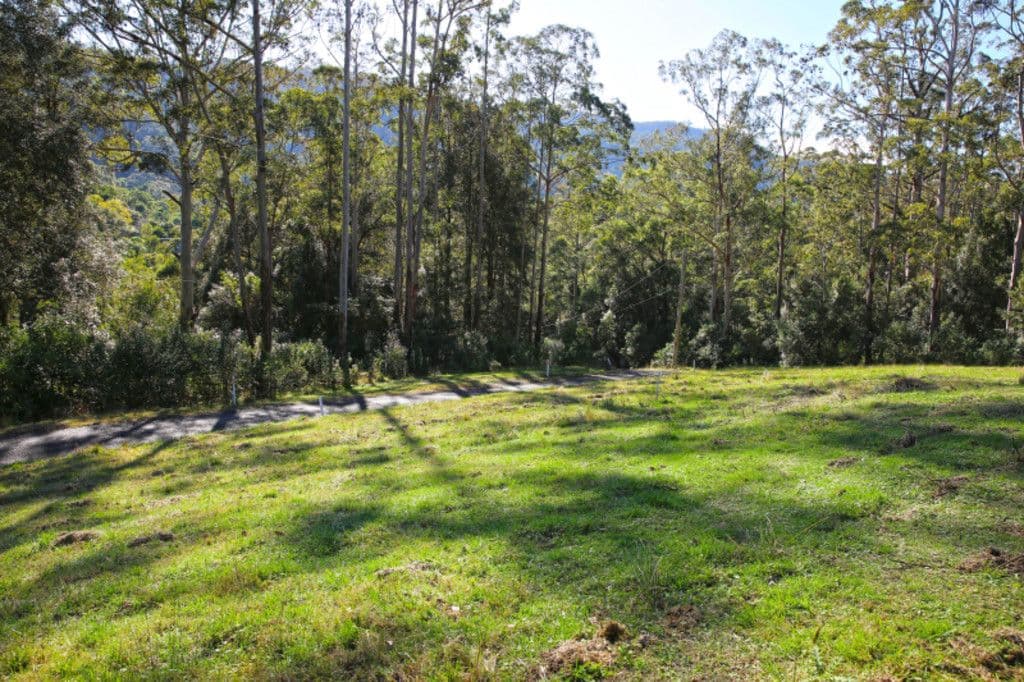 265A Bundewallah Road, Bundewallah NSW 2535, Bundewallah - Thumbnail 2