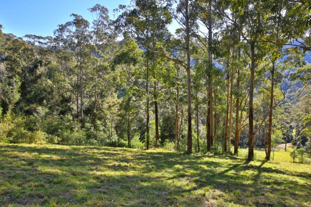 265A Bundewallah Road, Bundewallah NSW 2535, Bundewallah - Thumbnail 4