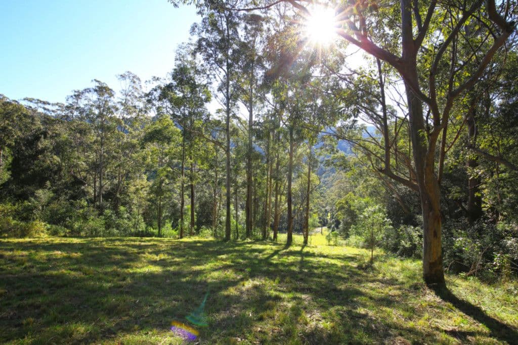 265A Bundewallah Road, Bundewallah NSW 2535, Bundewallah - Thumbnail 5