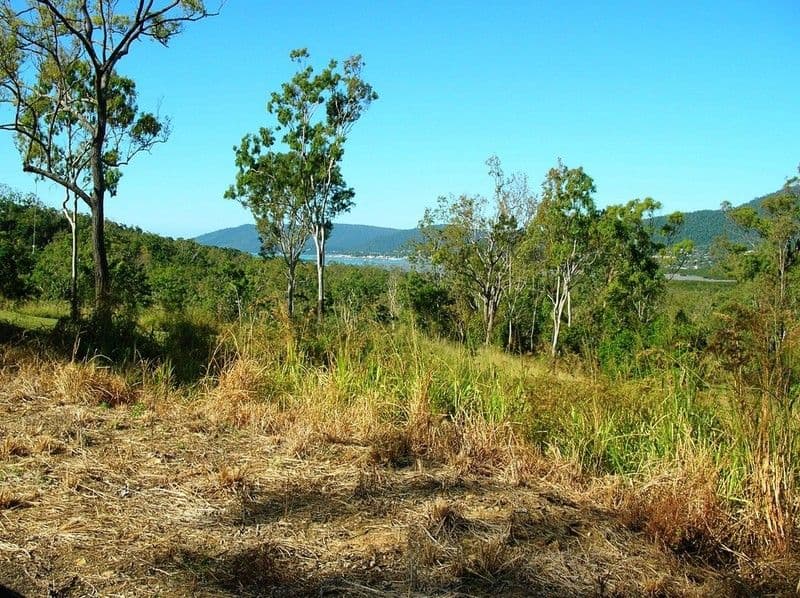 254 Paluma Road, CANNONVALE QLD 4802, Cannonvale - Thumbnail 2