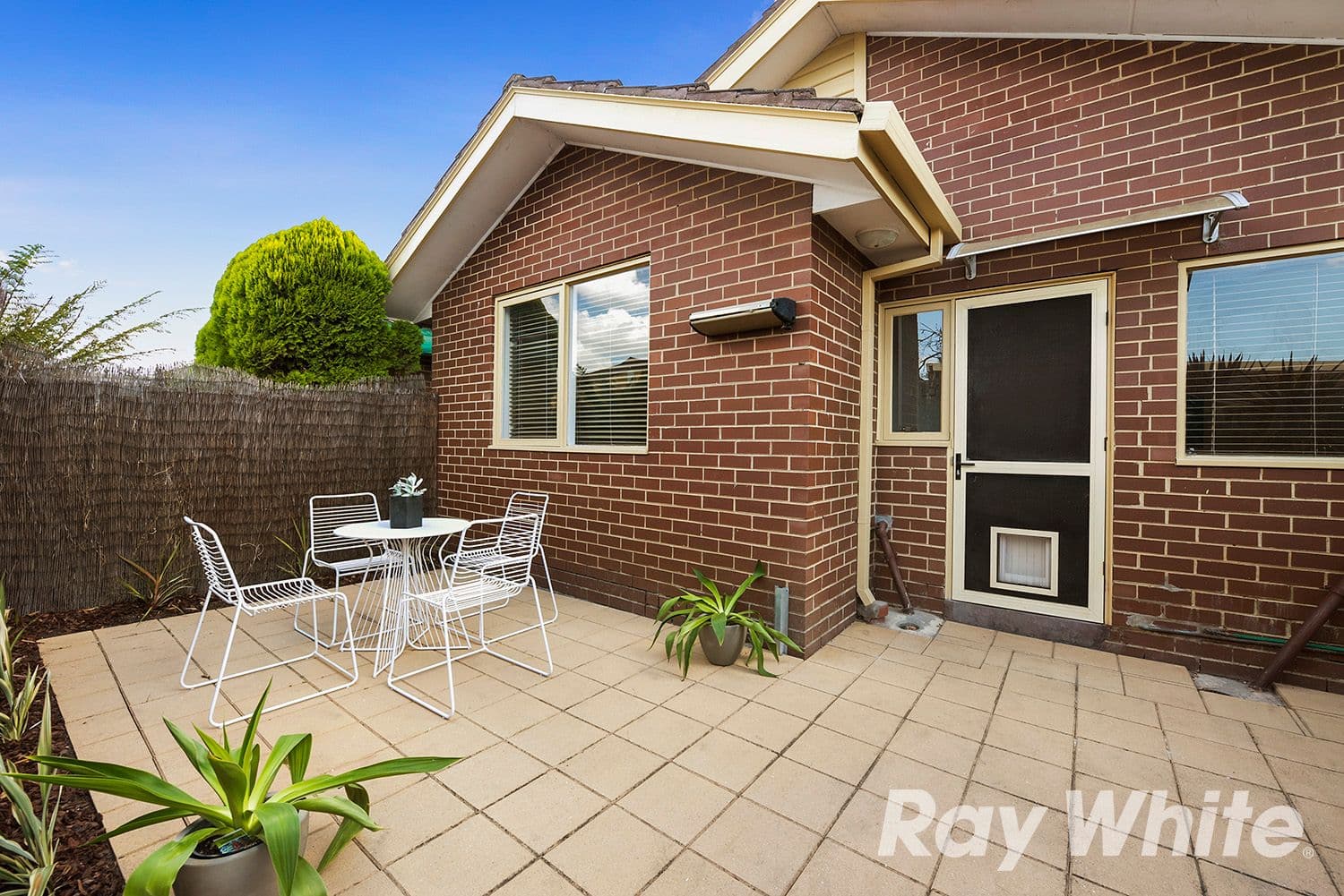 47-49 Bear Street, Mordialloc VIC 3195, Mordialloc - Thumbnail 5