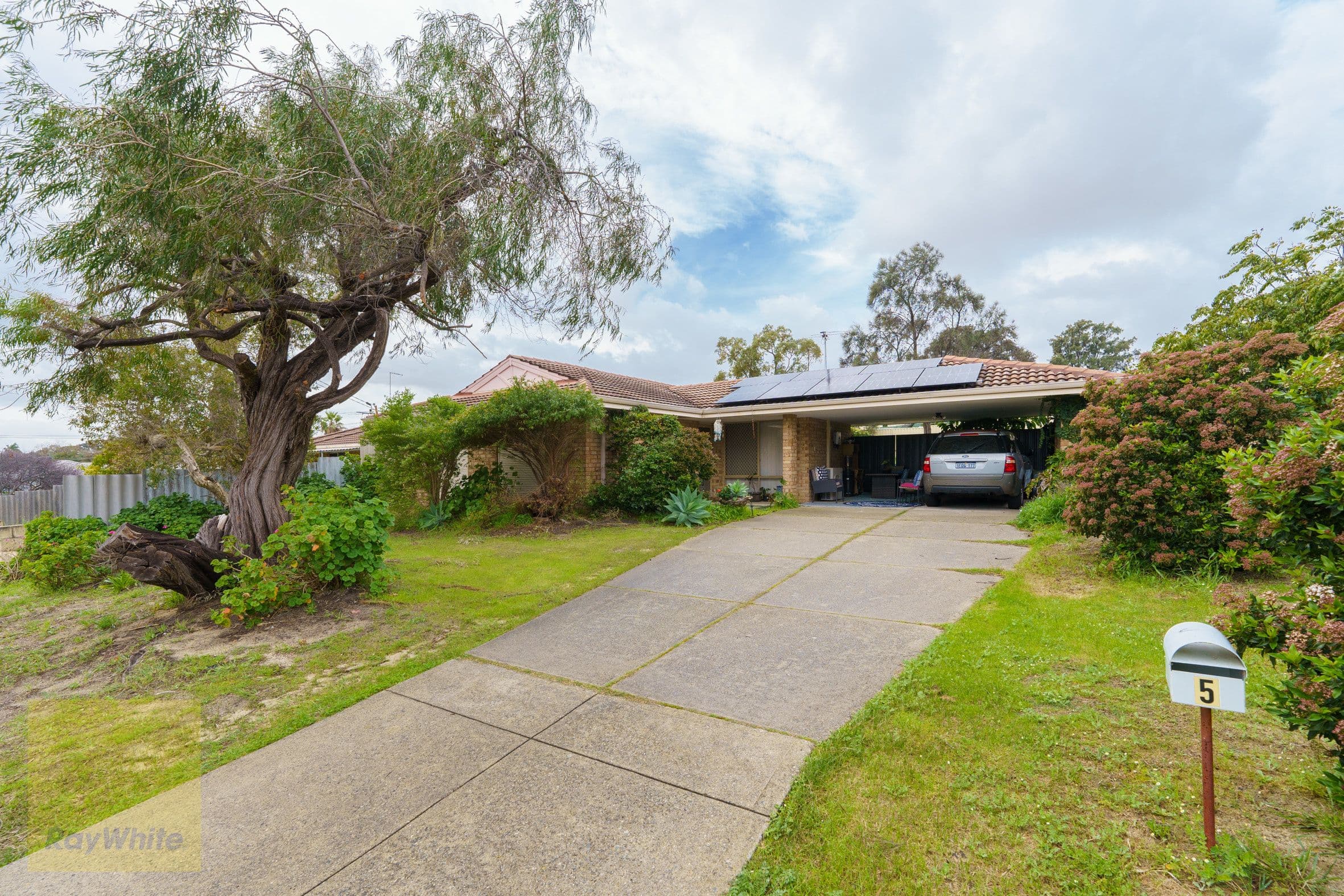 5 Excelsum Terrace, Mirrabooka WA 6061, Mirrabooka - Thumbnail 2