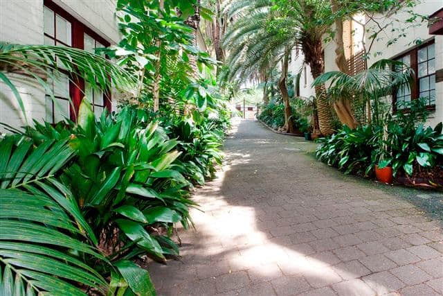 42 Bayswater Road, RUSHCUTTERS BAY NSW 2011, Rushcutters Bay - Thumbnail 5