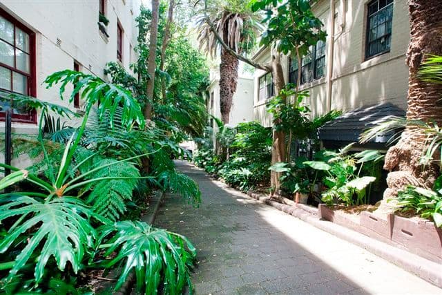 42 Bayswater Road, RUSHCUTTERS BAY NSW 2011, Rushcutters Bay - Thumbnail 6